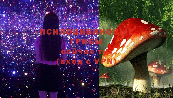 бутират Гусиноозёрск