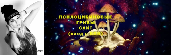 бутират Гусиноозёрск