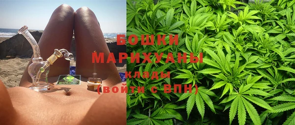 PSILOCYBIN Гусь-Хрустальный