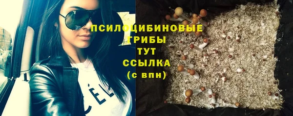 прущая мука Гусев