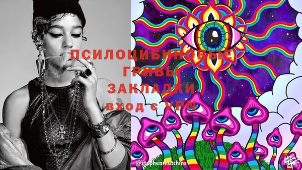 прущая мука Гусев