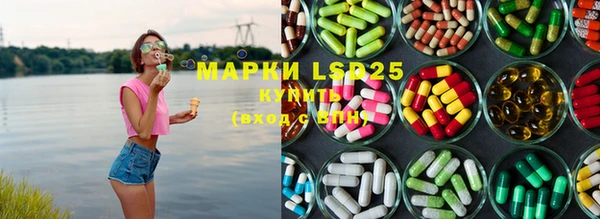 PSILOCYBIN Гусь-Хрустальный