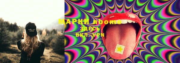 PSILOCYBIN Гусь-Хрустальный